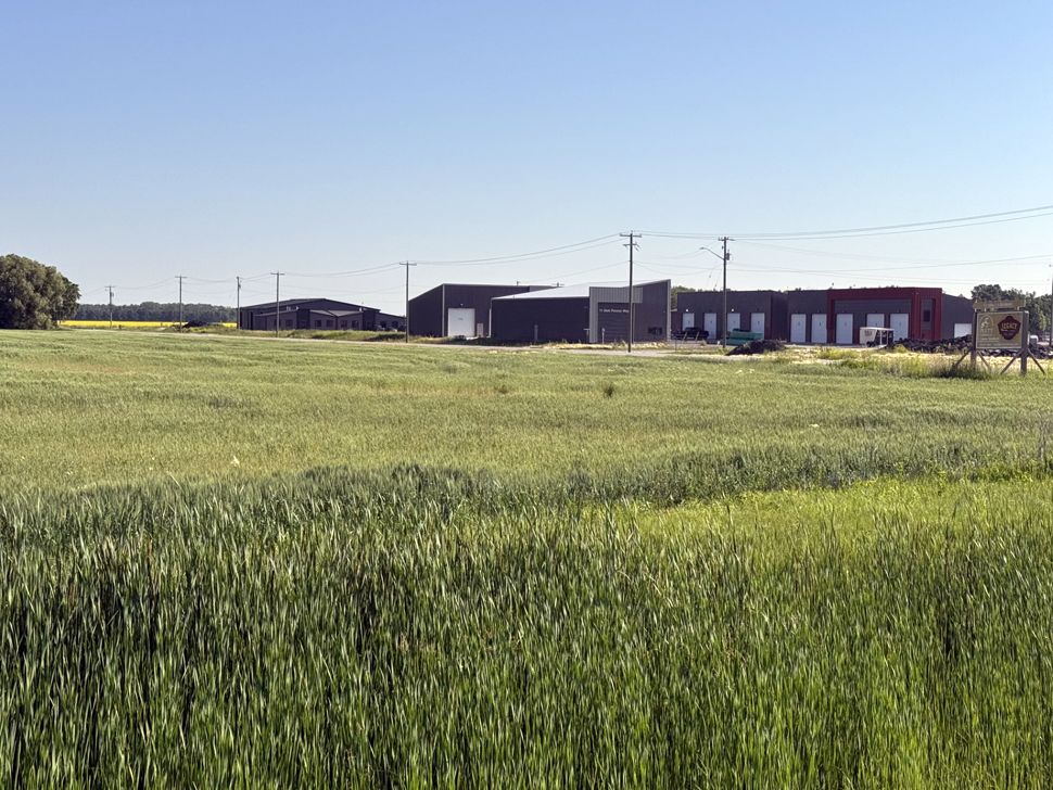 Grain field is the desired location of a new soccer complex. (Shannon Dueck)