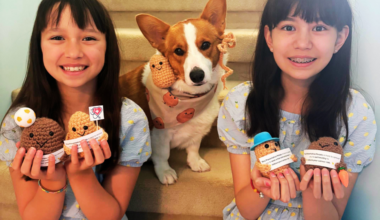 Winnipeg sisters turn lemonade stand into creative cancer fundraiser