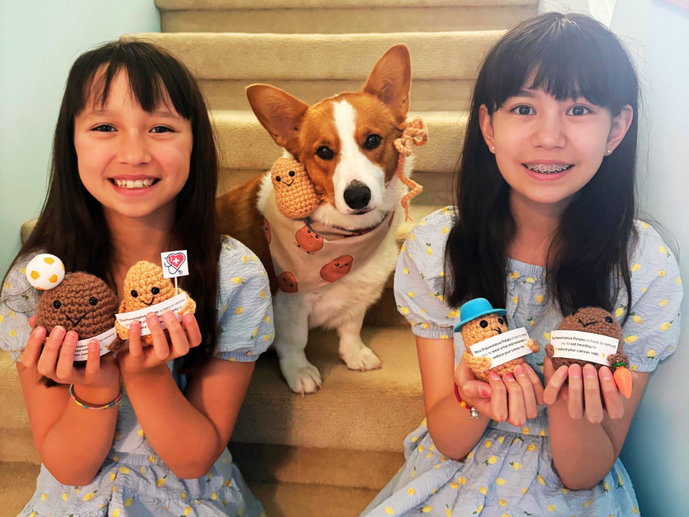 Winnipeg sisters turn lemonade stand into creative cancer fundraiser