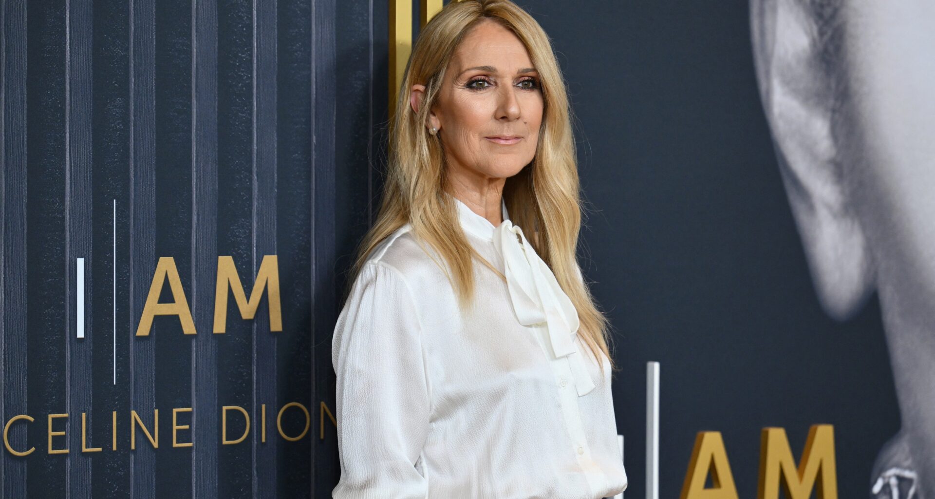 anadian singer Celine Dion attends the New York special screening of the documentary film "I Am: Celine Dion" at Alice Tully Hall in New York City on June 17, 2024. Celine Dion took a jab at Donald Trump on August 10, 2024 for using at an election rally the song she wrote and sang for the disaster movie "Titanic," about the ocean liner's sinking.