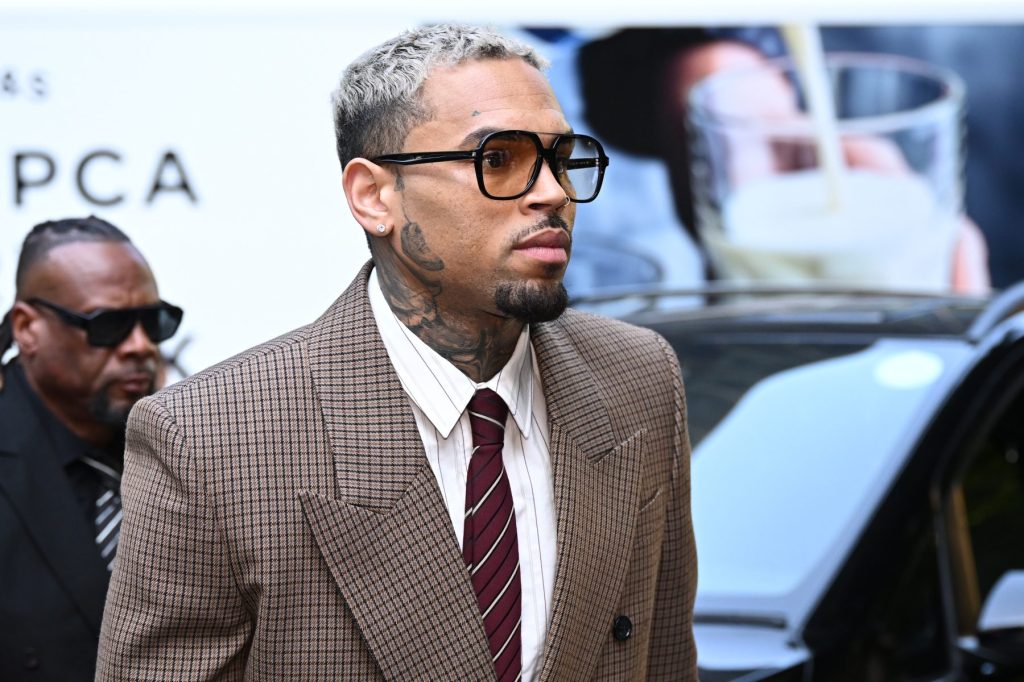 Chris Brown Dog Attack Trial Verdict: Housekeeper Wins $13 Million
