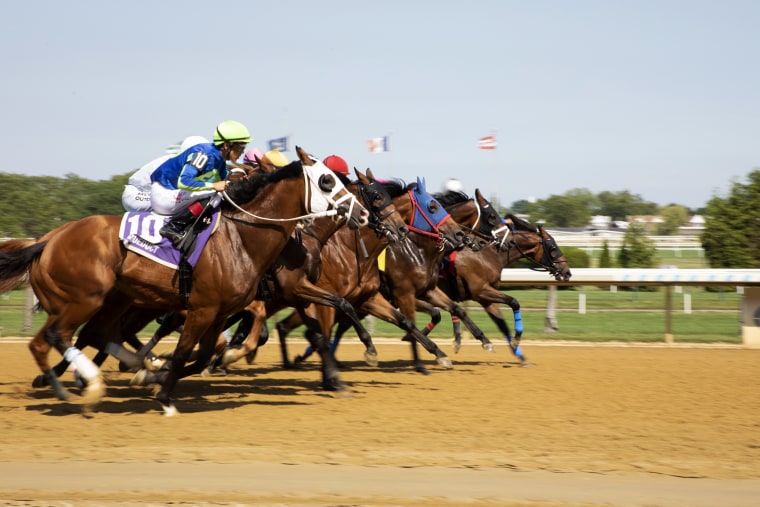 Horses begin their race on the track.