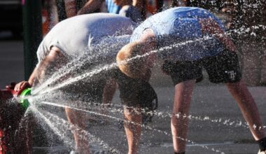 Ocean surface temperatures hit record high