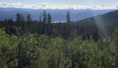 Study shows clear-cut logging affects flood risk in B.C.