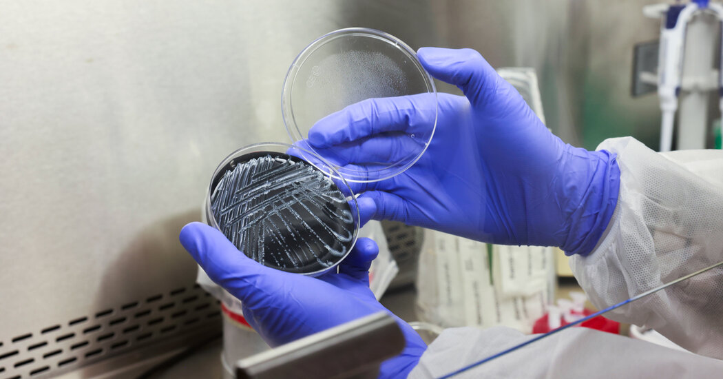 First Patient Dies of Legionnaires’ Disease After New York Outbreak