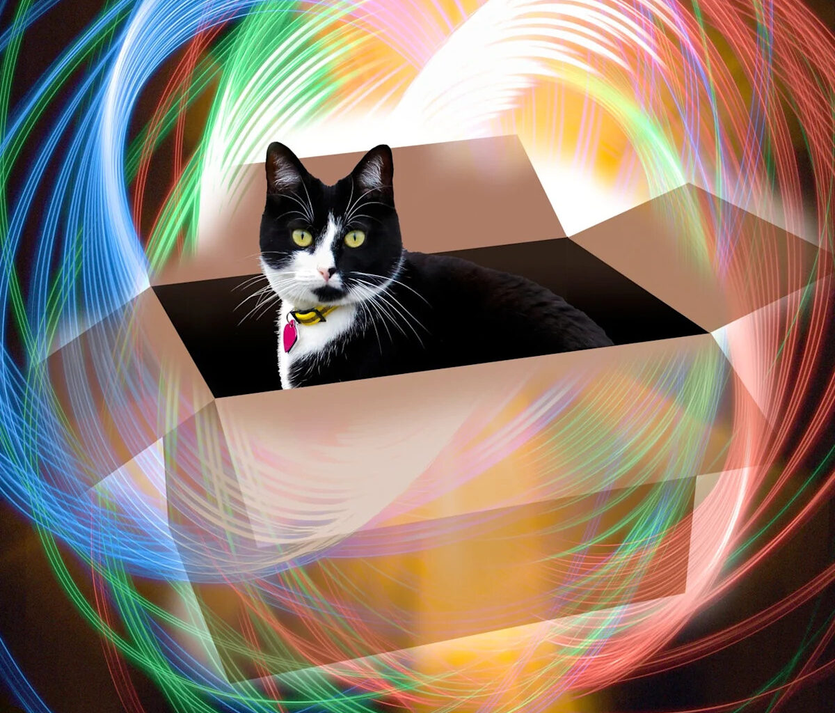 Schrödinger’s Cat Just Got a Whole Litter of Weird New Siblings in a Major Quantum Breakthrough