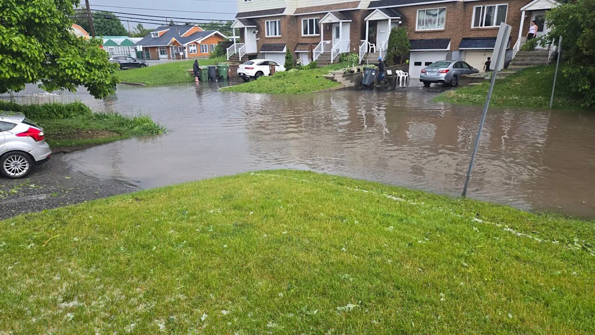 Proposed class actions target City of Montreal, West Island suburbs, after floods