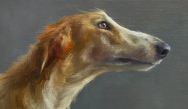 The best pet portrait artists