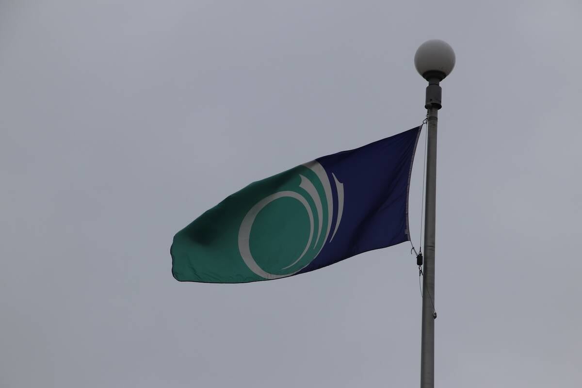 Ottawa's municipal flag flies above city hall. Photo: Jonah Grignon