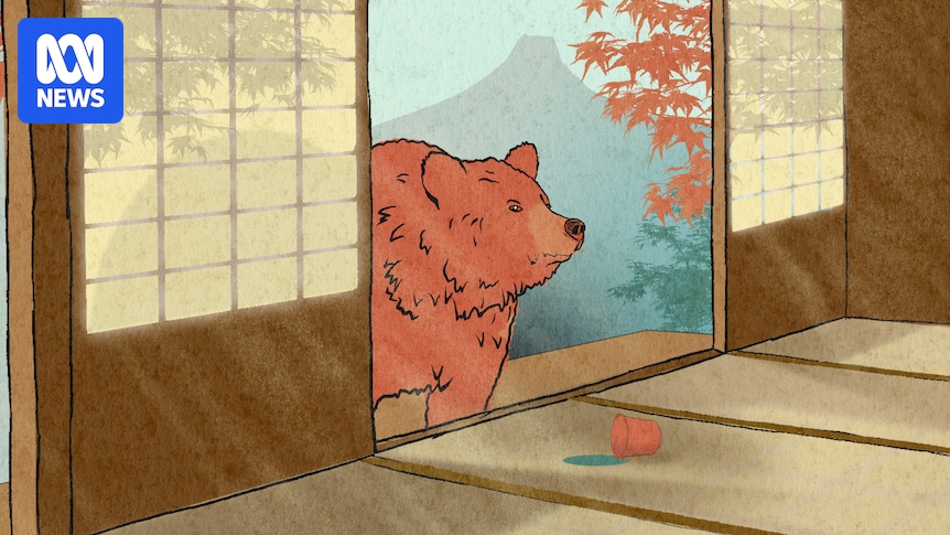 As Japan's population shrinks, bears are moving close to town and creating a big problem