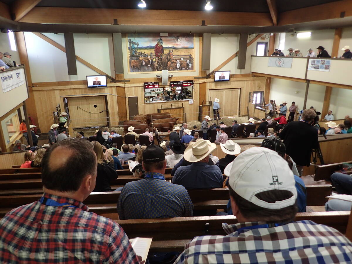 Western Canadian fed cattle market remained hot during end of June