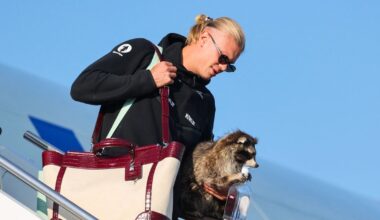Erling Haaland Bought a Taxidermied Raccoon in Texas