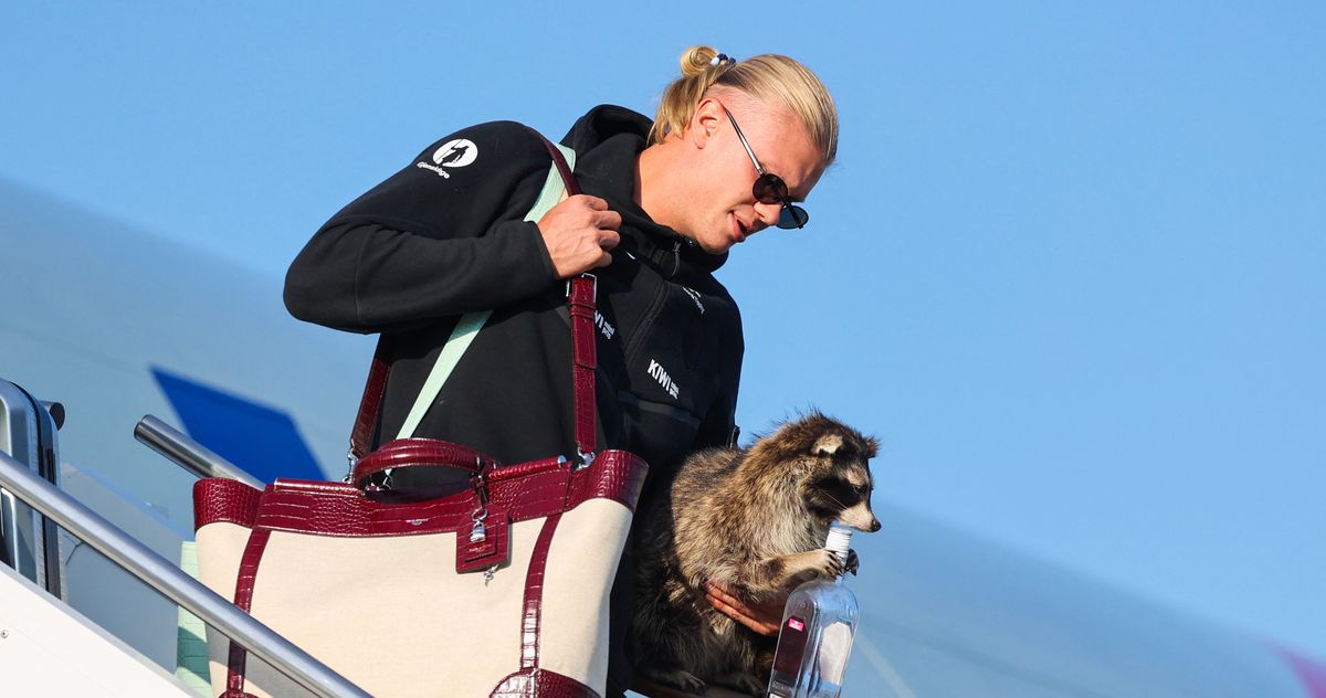 Erling Haaland Bought a Taxidermied Raccoon in Texas