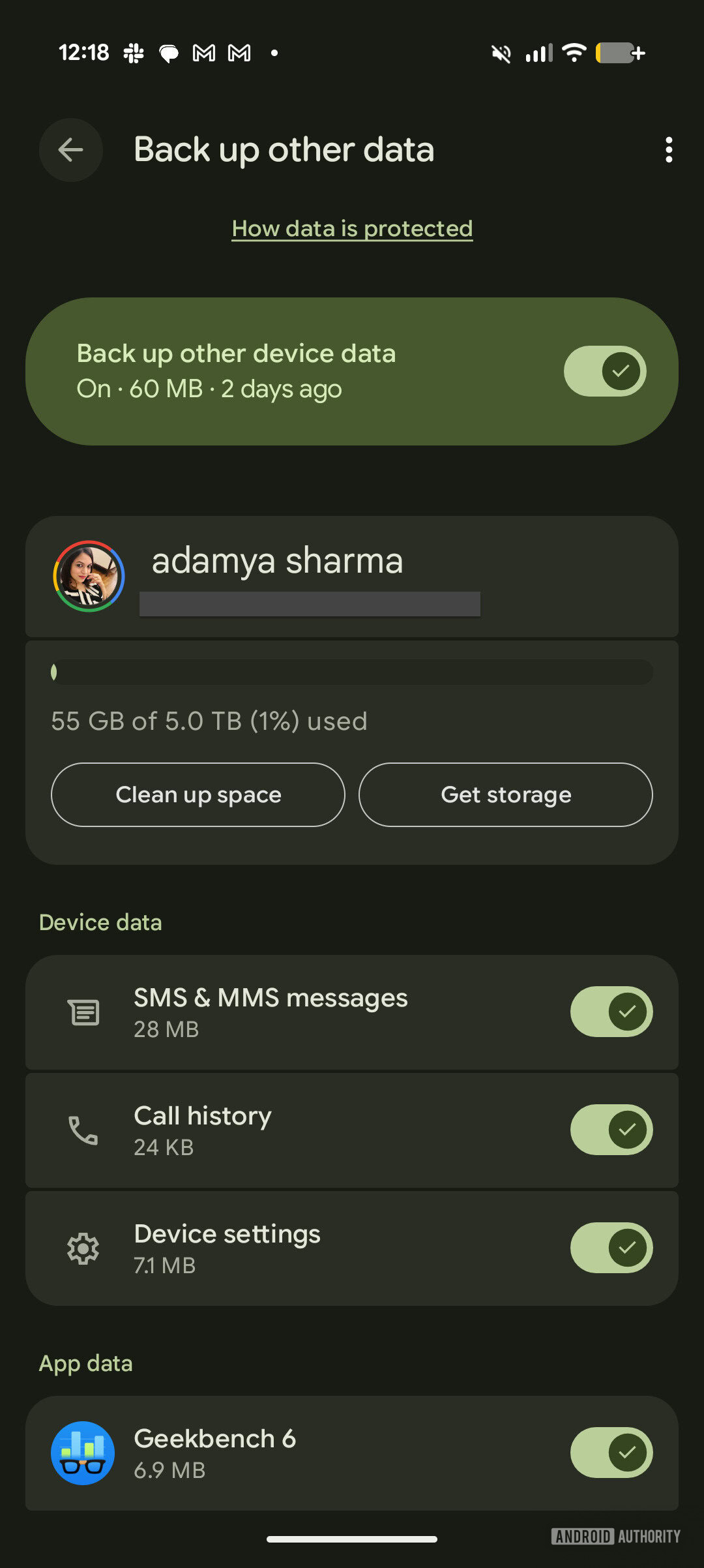 Backup other data settings on Pixel