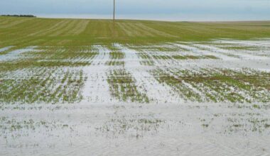 Drought designation lifted from agricultural Prairies