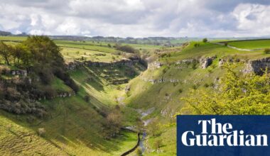 Plan to restore nature in England by 2030 criticised as ‘completely insufficient’ | Environment policy