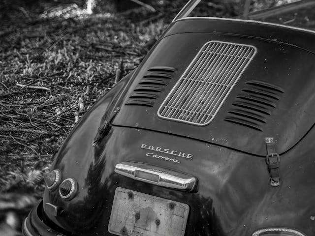 356-Carrera-woodsy