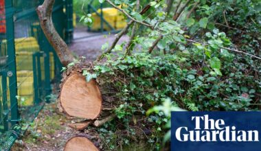 Burnham urged to drop ‘flawed’ plans that may let developers bypass environment laws for £1 | Planning policy