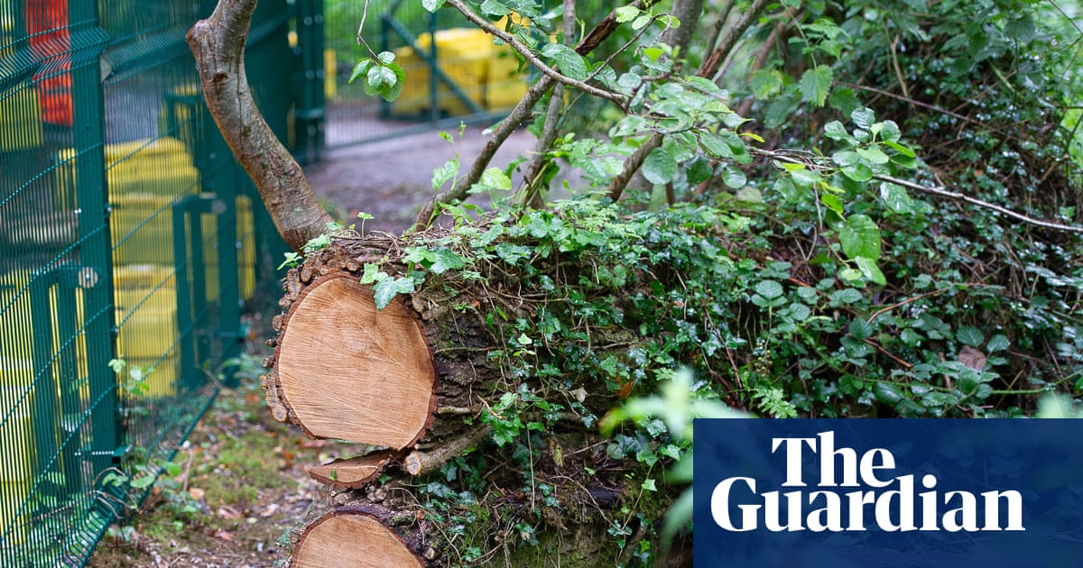 Burnham urged to drop ‘flawed’ plans that may let developers bypass environment laws for £1 | Planning policy