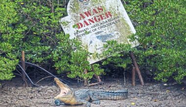 Edging closer as habitats shrink