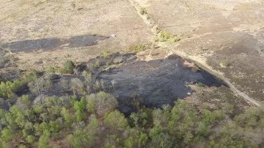 A large, charred patch of land surrounded by trees on one side and heath on the other, as seen from above on a sunny day.
