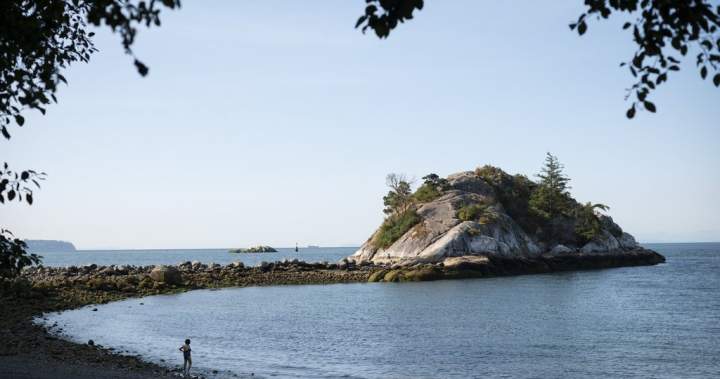 Man in his 60s dead in scuba diving incident off West Vancouver, B.C.: police