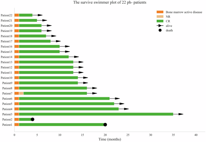 Fig. 1: The survival swimmer plot of 22 ph- B-ALL patients.