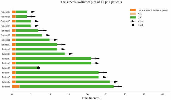Fig. 2: The survival swimmer plot of 17 ph+ B-ALL patients.