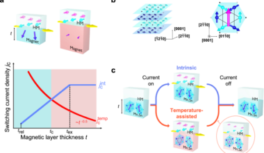 Crossover between intrinsic and temperature-assisted regimes in spin-orbit torque switching of antiferromagnetic order