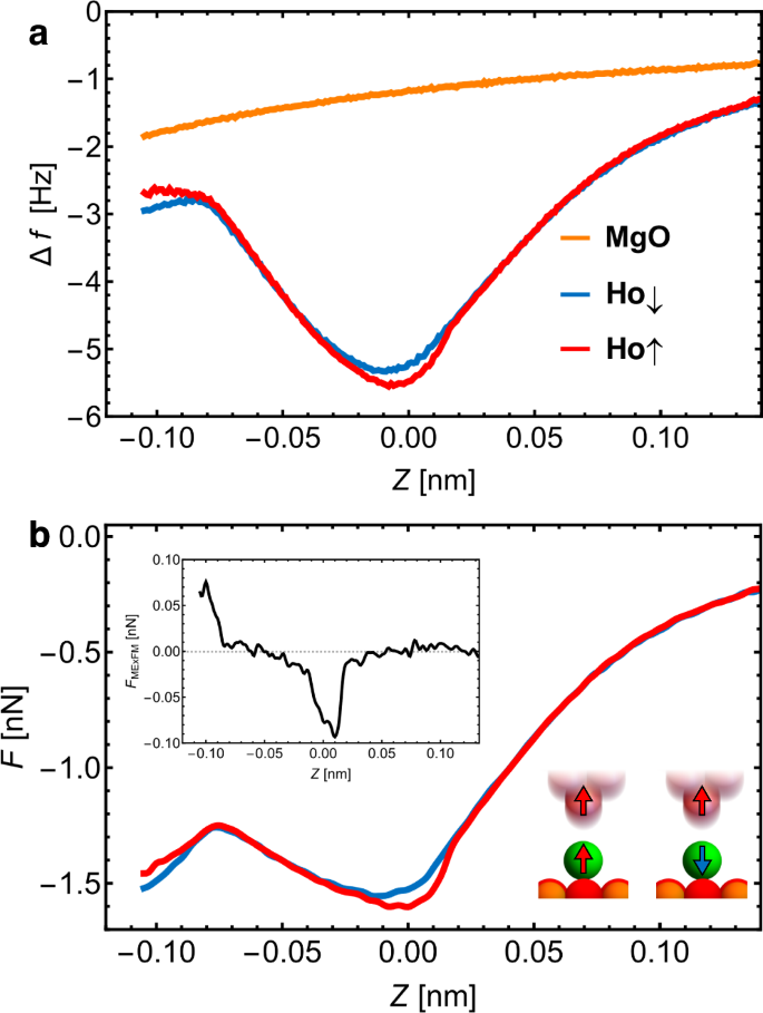 Fig. 3: Probing Ho↑ and Ho↓ using MExFM.