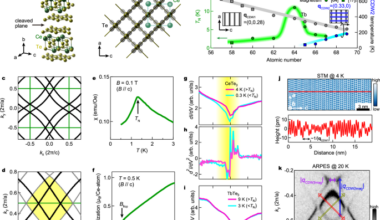 Versatile electronic phases enabled by intertwined multiple frustrations in an antiferromagnetic two-dimensional semimetal