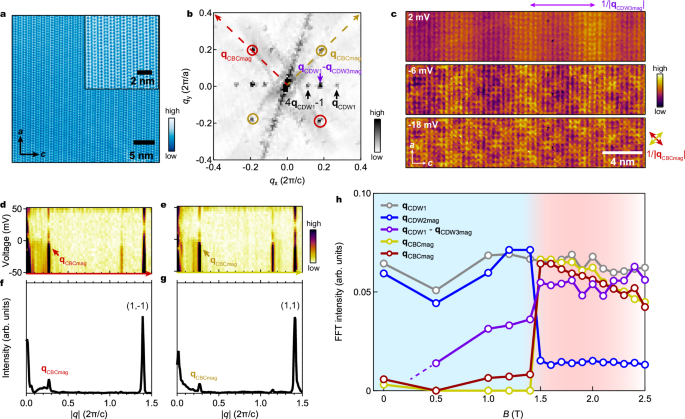 Fig. 3: Competing CDW2mag and CBCmag at 300 mK across the spin-flop transition at Bflop under an in-plane magnetic field applied along the c-axis.