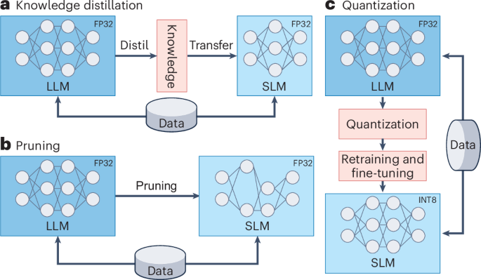 Small language models in medicine