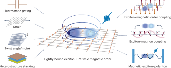 Excitons in van der Waals magnetic materials