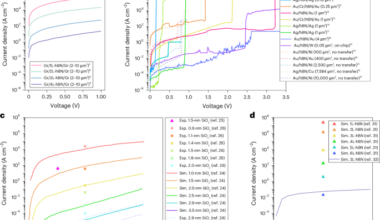 Quantum tunnelling and leakage current across two-dimensional materials