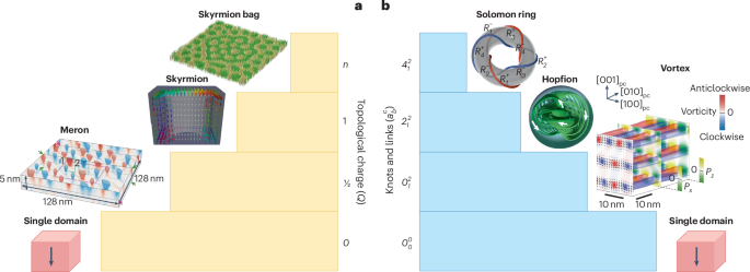 Topological textures in polar materials