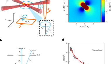 Bose–Einstein condensate of ultracold sodium–rubidium molecules with tunable dipolar interactions
