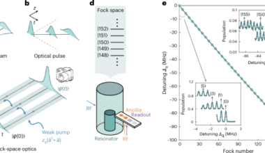 Principles of optics in Fock space for the scalable manipulation of large quantum states