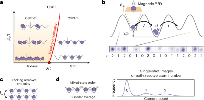 Topological phase transitions and mixed-state order in a Hubbard quantum simulator