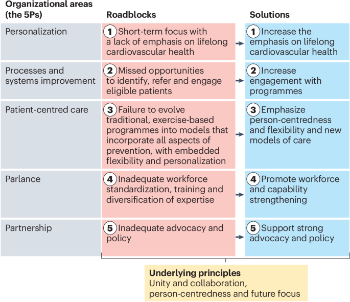 World Heart Federation Roadmap on cardiac rehabilitation: a pathway to lifelong cardiovascular health