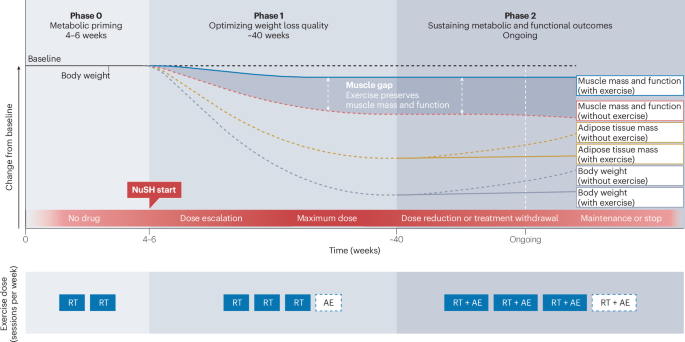 Strengthening the metabolic alliance: exercise as an essential partner of obesity pharmacotherapy