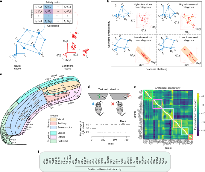 Rarely categorical, highly separable representations along the cortical hierarchy