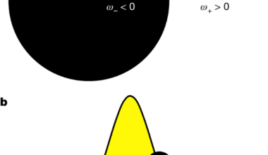 Backreaction of stimulated Hawking radiation in an optical analogue
