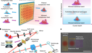 Quantum statistical plasmonic metacrystals | Nature