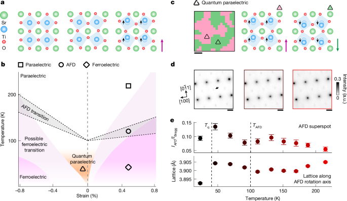 Imaging of nanoscale polar textures in quantum paraelectric SrTiO3