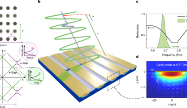 Plasmonic metamaterial time crystal | Nature