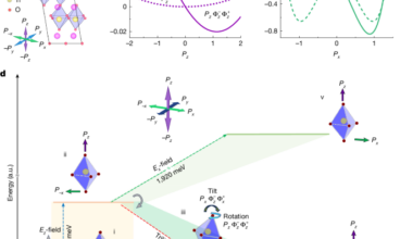 Perpendicular switching of polarization in layered ferroelectrics