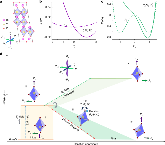 Perpendicular switching of polarization in layered ferroelectrics
