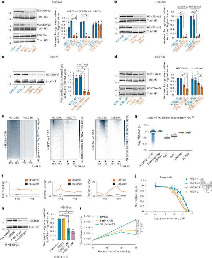 Fig. 7: Histone mutagenesis induces loss of PTMs and functional effects.