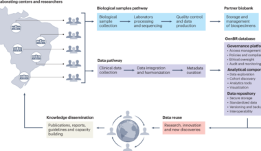 Genomas Brasil program: building precision public health within Brazil’s Unified Health System